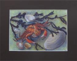 Annemarie Verschoor wier en krab , krijt  op papie 26x18r 2022